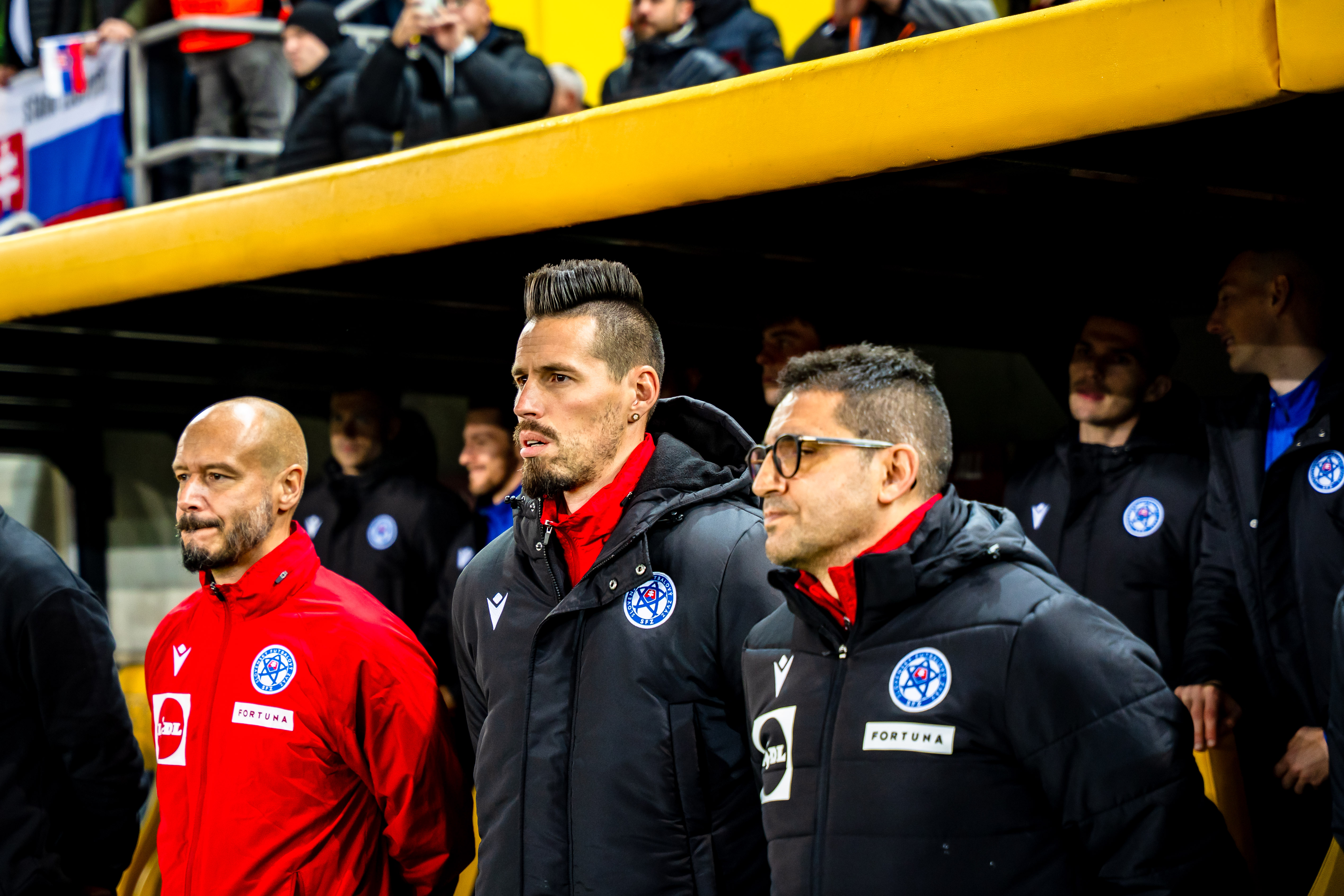 Slovensko vs Severne Irsko-8